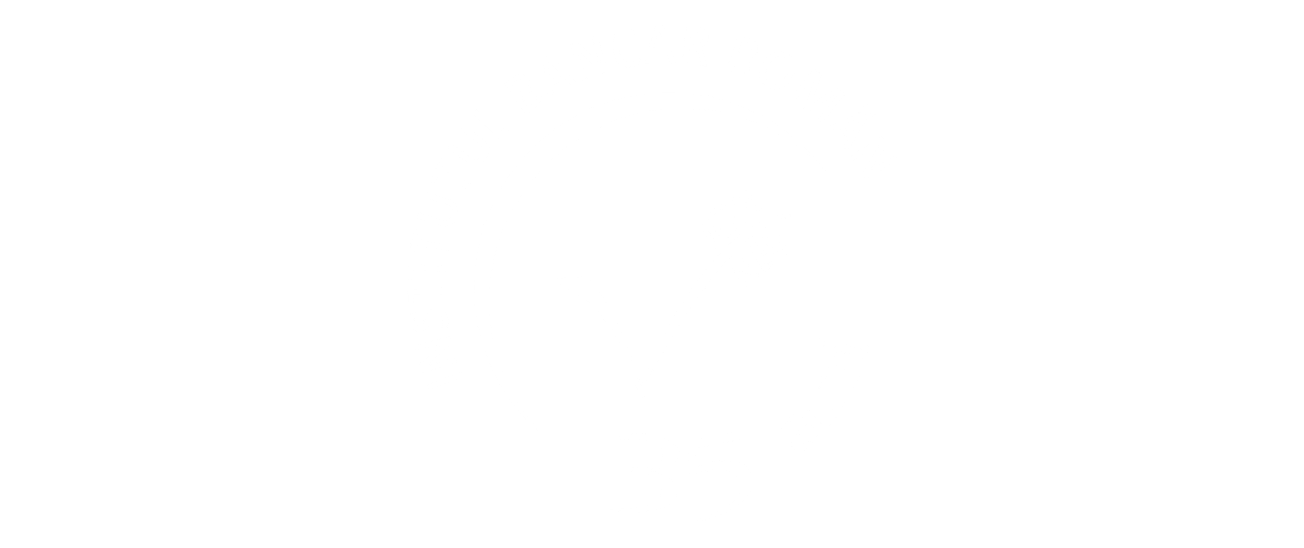 IBR -logo