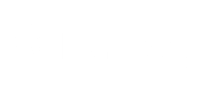 LeanPay white logo