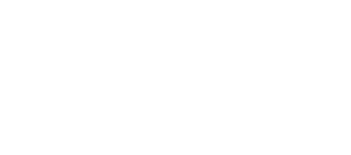 it smart systems white logo