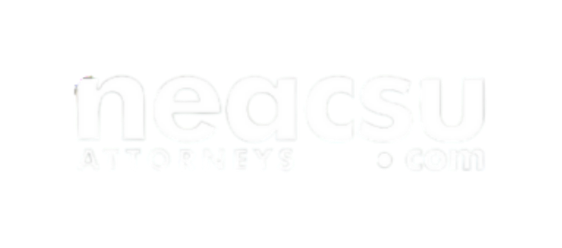neacsu logo