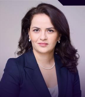 Andra Ion